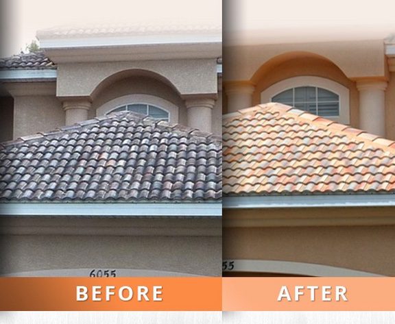 Citra-Shield Ready to Use Exterior Cleaner Algae, Mold & Mildew Removal & Prevention for Roof, Decks, Driveways-MG