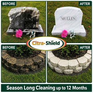 before and after pavers and headstone cleaner