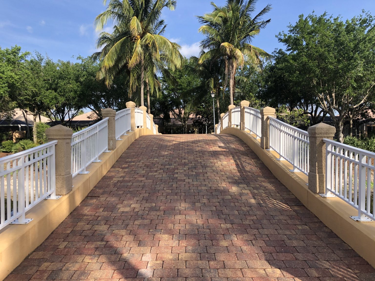 Citra-Shield: Walking Bridges